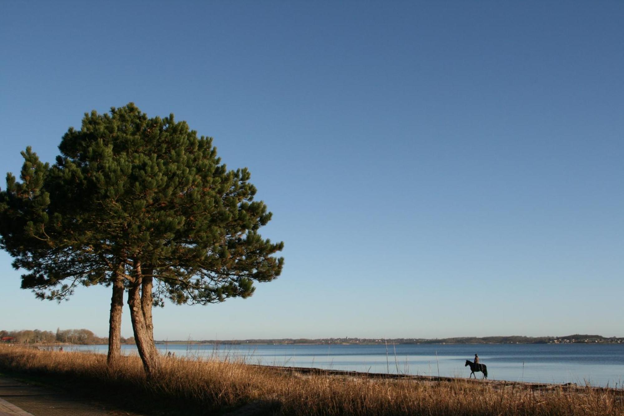 Ostsee-Strandhaus-Holnis Glücksburg Buitenkant foto